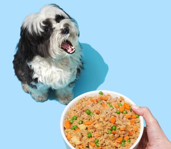 Best mail order 2025 dog food